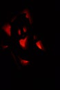 Ghost Jack-O-Lantern In The Dark