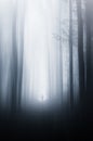 Ghost in surreal haunted forest with fog