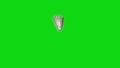 Ghost Poltergeist Spectre Apparition Turns Green Screen 3D Rendering Animation