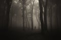 Ghost silhouette in dark mysterious forest with fog on Halloween Royalty Free Stock Photo