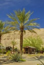 Ghost town in Death Valley Royalty Free Stock Photo