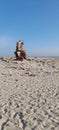 Ghost town (Dhanushkodi)