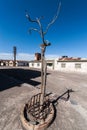 Ghost Town Humberstone in Atacama, Chile Royalty Free Stock Photo