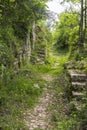 Ghost town of San Pietro Infine with his ruins, Caserta, Campania, Italy. The town was the site of The Battle of San Royalty Free Stock Photo