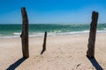 Ghost Tree on Lovers Key Beach Royalty Free Stock Photo