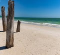 Ghost Tree on Lovers Key Beach Royalty Free Stock Photo