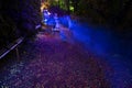 Ghostly blue light trails of people walking past tiny fluorescent pebbles glowing at a lights festival Royalty Free Stock Photo