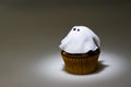 Ghostly cupcake in spot light