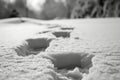 Ghostly Footprints in the Snow Royalty Free Stock Photo