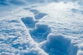 Ghostly Footprints in the Snow Royalty Free Stock Photo