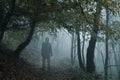 A ghostly hooded figure on a path through a moody misty autumn forest Royalty Free Stock Photo