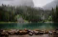 Ghostly mountain forest. Tranquil landscape of glacial lake with pointed fir tree tops, Lake Louise, Banff, Canada