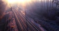 Ghostly Rails: Dawn's Arrival on the Mist-Laden Forest Tracks Royalty Free Stock Photo