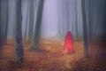 Ghostly red figure in foggy beautiful forest Royalty Free Stock Photo