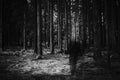 Ghostly silhouette of a man in a dark forest. Lonely person walking among trees. Long exposure. Fear, horror, halloween concept