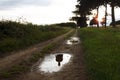 The ghostly silhouette of a person who isn`t there, reflected in a puddle on a country path at sunset Royalty Free Stock Photo