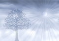 Ghostly silver tree Royalty Free Stock Photo