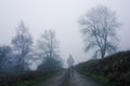 A ghostly transparent figure standing on a path looking out on the countryside on a moody foggy winters day