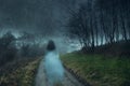 A ghostly transparent woman. Floating above a track on a the edge of a forest. On an atmospheric winters night. With a grunge, Royalty Free Stock Photo