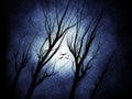 Ghostly Trees with Birds on a Snowy Night - Digital Illustration Royalty Free Stock Photo