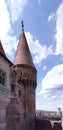 Ghotic window and tower details