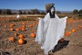 Ghoulish screaming Halloween scarecrow