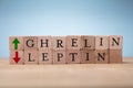 Ghrelin And Leptin Words On Wooden Desk Royalty Free Stock Photo