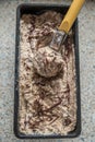 Gianduia Ice Cream