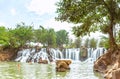 Giang Dien waterfall inside old trees Royalty Free Stock Photo