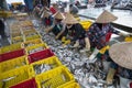 An Giang, Vietnam - Dec 6, 2016: Caught fishes with Vietnamese women working at Tac Cau fishing port at dawn, Me Kong delta Royalty Free Stock Photo