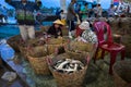 An Giang, Vietnam - Dec 6, 2016: Caught fishes and working activities in Tac Cau fishing port at dawn, Me Kong delta province of K Royalty Free Stock Photo