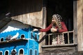 An Giang, Vietnam - Sep 6, 2016: Vietnamese muslim girl feeding pigeons in a champa village, Khanh Hoan district, South Vietnam