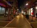 Giannena or ioannina by night in xmas christmas night giannena or ioannina by night in xmas christmas night