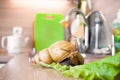 Giant african snail Achatina Royalty Free Stock Photo