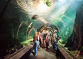 VIENNA, AUSTRIA - SEPTEMBER 8, 2017. Giant Arapaima fish swimming in an aquarium at Vienna Schonbrunn Palace Zoo