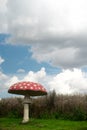 Giant artificial fly agaric at blue sky Royalty Free Stock Photo