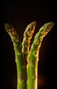 Giant asparagus