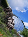 Giant bee at Eden project