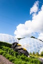 Giant bumble bee sculpture, Eden Project, vertical. Royalty Free Stock Photo