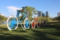 The Giant bicycle in the meadow