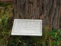 Giant black locust marriage tree planted 1819 Lorenzo Mansion Cazenovia