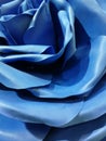 The giant blue flower rose background