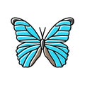 giant blue morpho spring color icon vector illustration