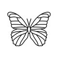 giant blue morpho spring line icon vector illustration