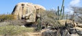 Giant Boulder With Tall Cacti