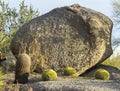 Giant boulder used for signage Royalty Free Stock Photo