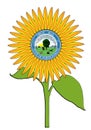 Giant Bright North Dakota State Sunflower