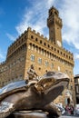 Giant Bronze Turtle Statue in front of Palazzo Vecchio, Florence Royalty Free Stock Photo