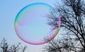 A giant bubble that floats free in the open