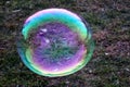 A giant bubble that floats free in the open